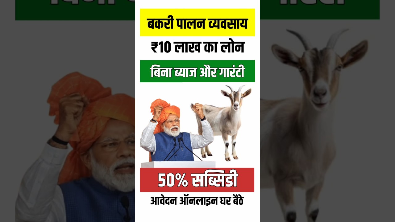 Bakri Palan Loan Yojana 2025: बकरी पालन के लिए पाएं 10 लाख रुपये तक का लोन, बिना ब्याज और गारंटी के, आधा लोन माफ
